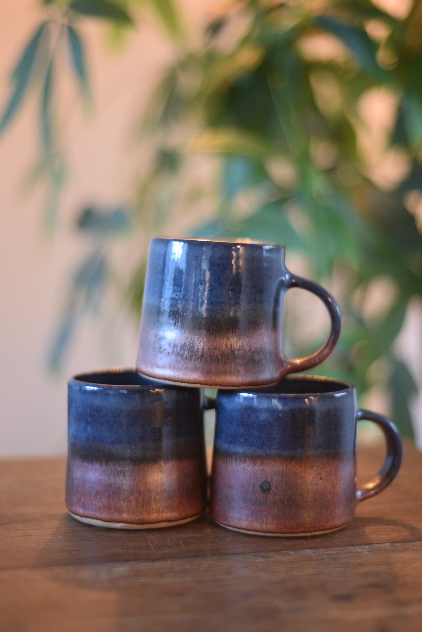 Navy & Copper Mug