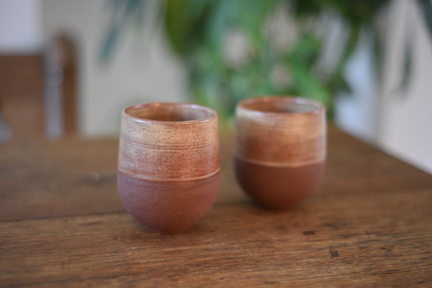 Set of 2 tumblers (red brown)