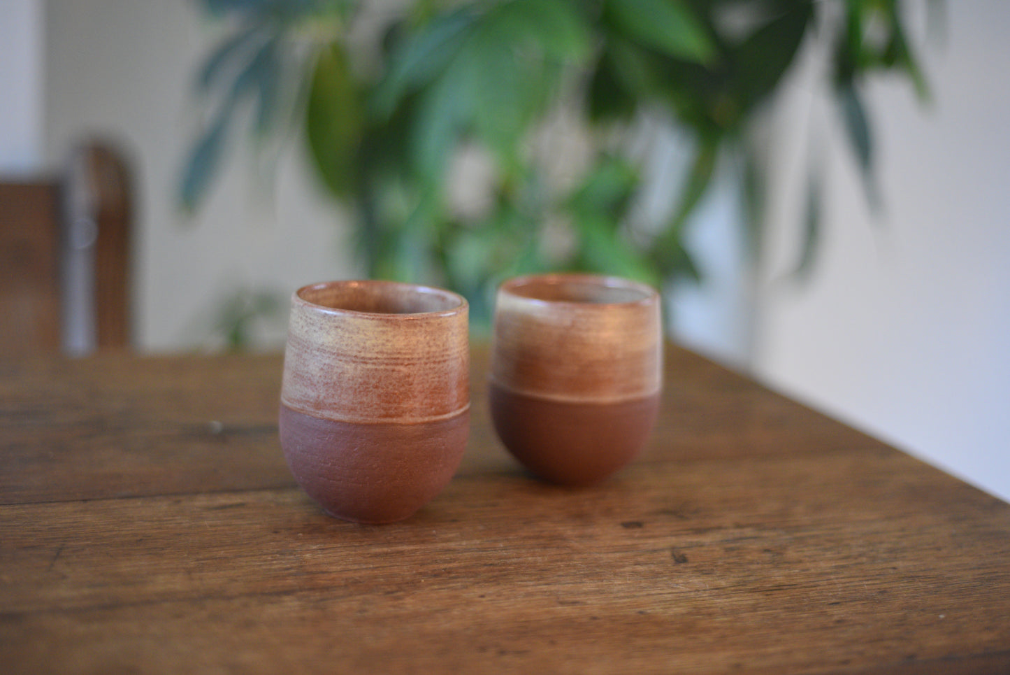 Set of 2 tumblers (red brown)